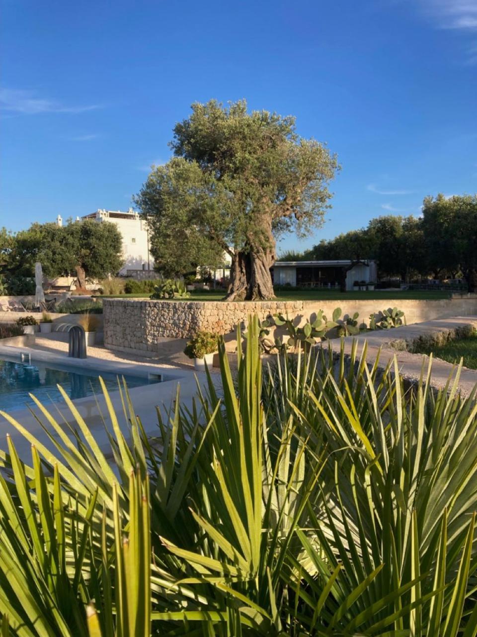 Boutique Hotel Masseria Sottomasi Savelletri Exteriér fotografie