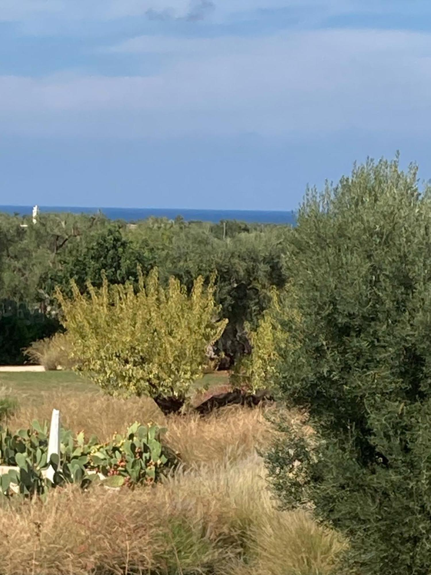 Boutique Hotel Masseria Sottomasi Savelletri Exteriér fotografie